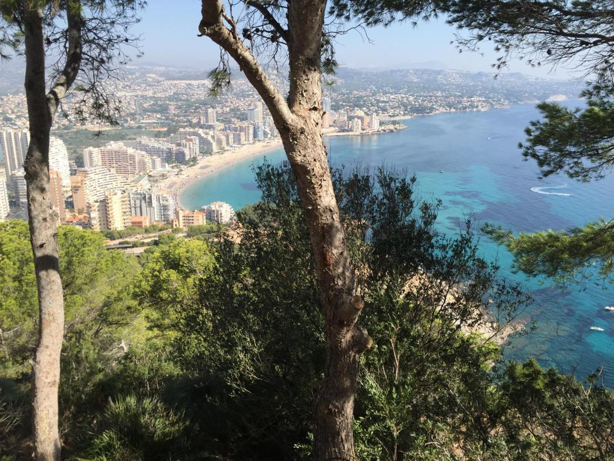 Apartament Mesana 102 / Penthouse Calpe Zewnętrze zdjęcie